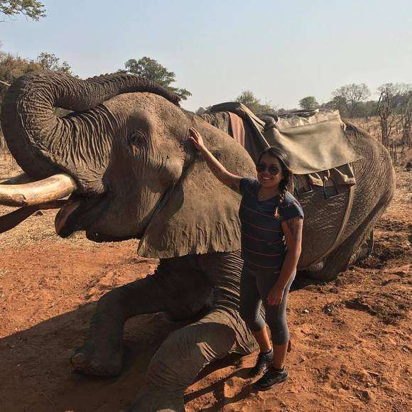 Meet your Posher, Anna - Picture 1 of 1